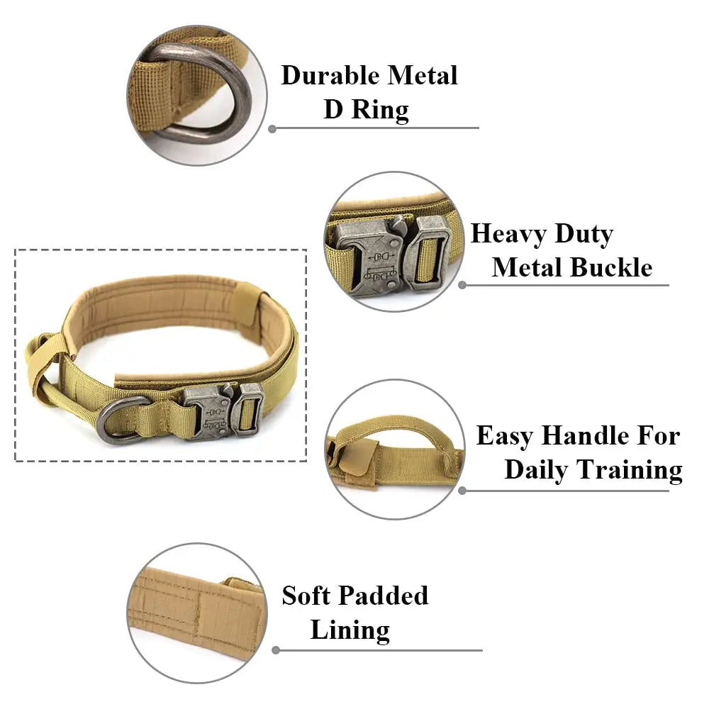 Dog Collar - Leash Set