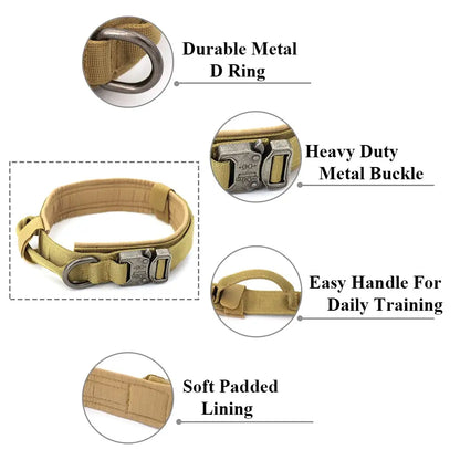 Dog Collar - Leash Set