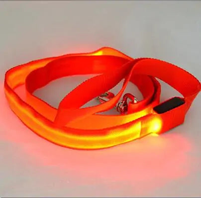 Glow In Dark Dog Leash