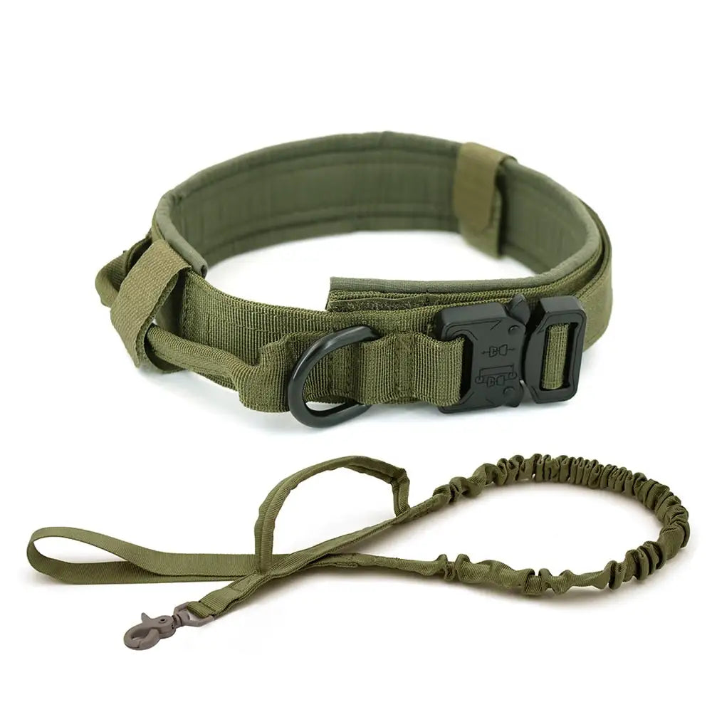 Dog Collar - Leash Set