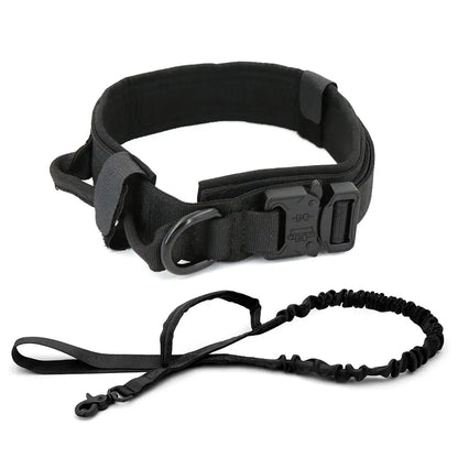 Dog Collar - Leash Set