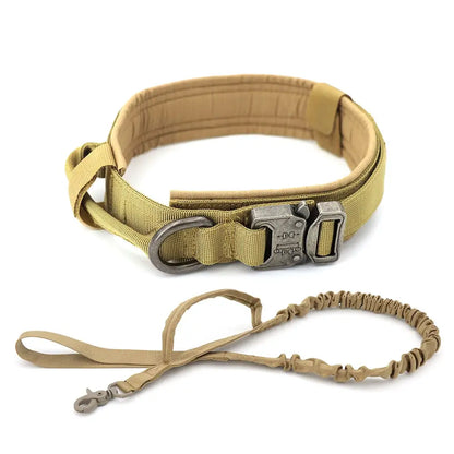 Dog Collar - Leash Set