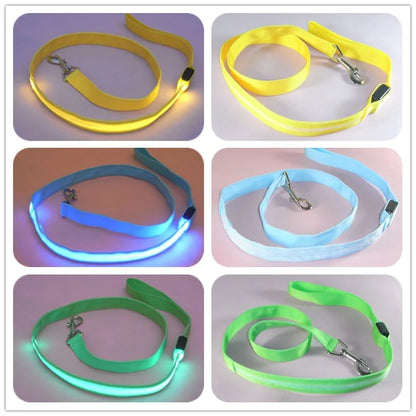 Glow In Dark Dog Leash