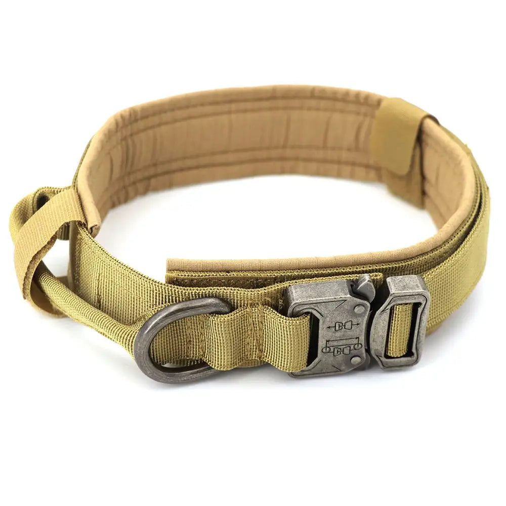 Dog Collar - Leash Set