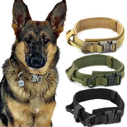 Dog Collar - Leash Set