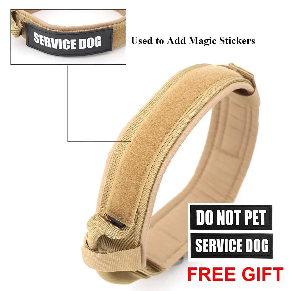 Dog Collar - Leash Set